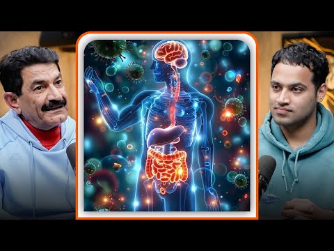 How Your Gut Directly Impacts Your Health – Gut & Mind Expert Explains | Raj Shamani Clips