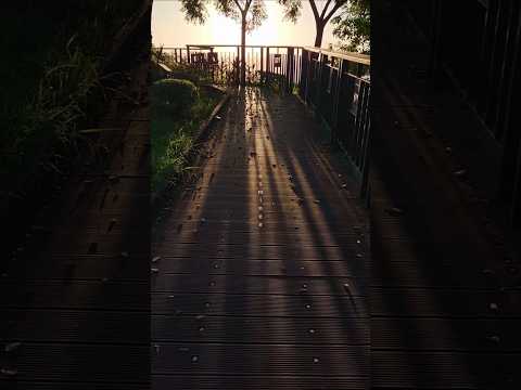 Autumn morning light💛☀️秋天的晨曦 #taiwan #小岡山 #岡山之眼