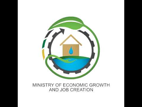 Ministry of Economic Growth & Job Creation Live Stream