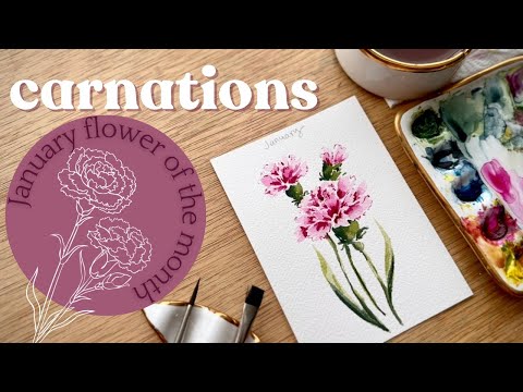 Watercolor carnations- January birth month flower