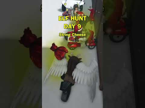 ELF HUNT DAY 9 - 2024