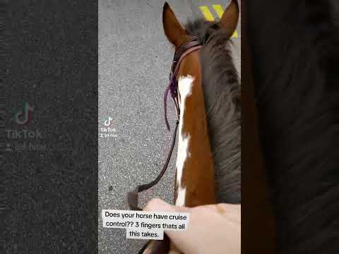 Does your horse have cruise control?