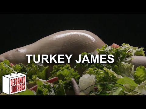 Turkey James