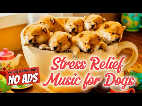 8 HOURS | Quiet Comfort - Stress Relief Music for Dogs | Pet Relaxation Oasis