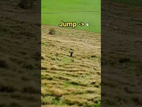 Massive jump at the end...