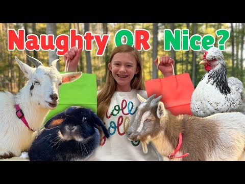 Giving my FARM ANIMALS “CHRISTMAS PRESENTS!”