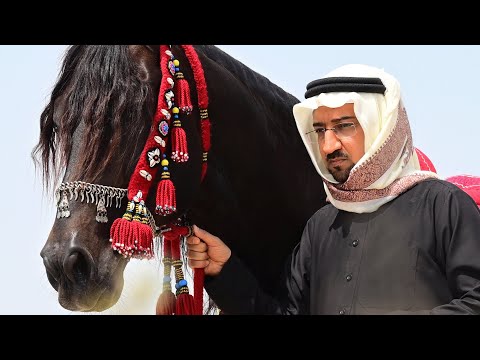 المولود الجديد | أباذر الحلواجي - محرم 1445هـ - رباه مدد