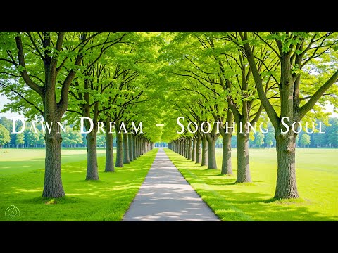 Dawn Dream - Soothing Soul