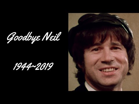 Neil Innes Tribute