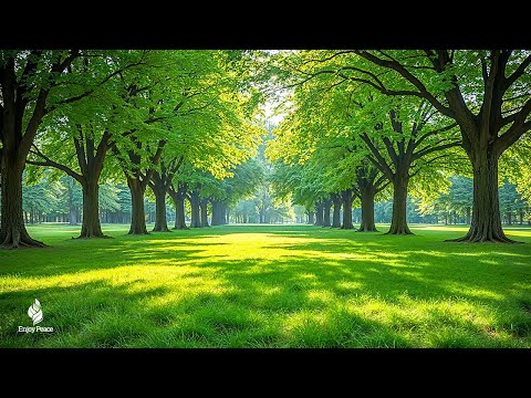 Healing Music For The Heart And Blood Vessels 🌿 Relaxing music for mental healing & meditation