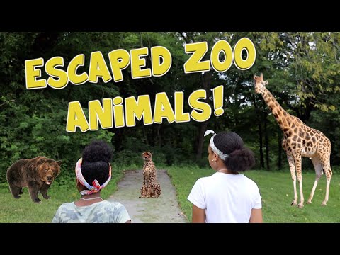 ESCAPED ZOO ANIMALS! ( KIDS SKIT)