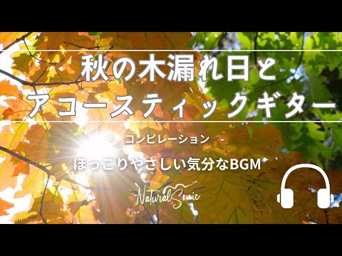 Natural Sonic「秋の木漏れ日とアコースティックギター 」コンピレーション - ほっこりやさしい気分なBGM -