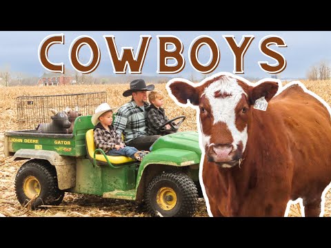 Little Cowboys Wrangle Lost Cows on Farm! TOY COW WRANGLING/POWERWHEELS/CATTLE/FARM/CALF