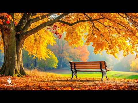 Beautiful Relaxing Music 🍁 Stop Overthinking, Stress Relief Music With Autumn Melodie