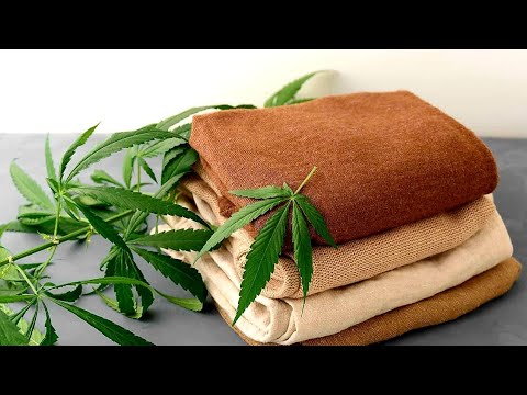 Hemp vs Cannabis: The Truth Behind Your Clothes!