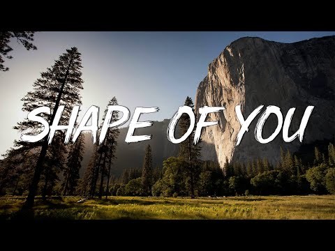 Shape of You - Ed Sheeran (Lyrics) || Charlie Puth, Shawn Mendes, Ellie Goulding (Mix)