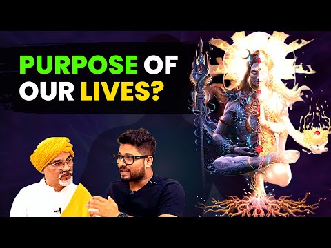 What is the Purpose of our Lives? | Master Frequency Explained in 4 minutes