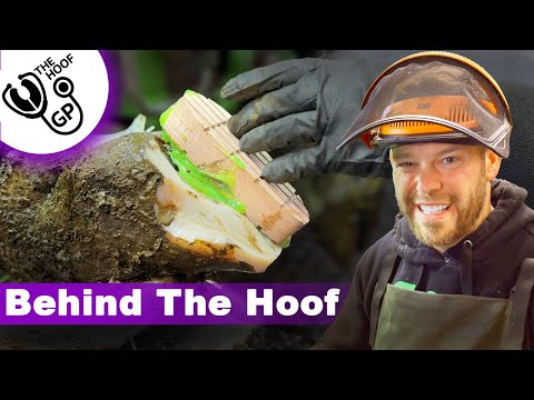 FAST HOOF RELIEF, baking with THE BOYS & TRYING not to crash | BTH Episode 9