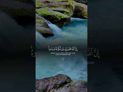 Surah Zukhruf beautiful recitation #surahzukhruf #quran #shorts #viralvideo