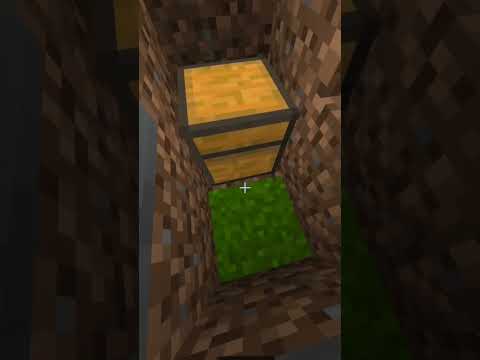 minecraft hacks #shorts #minecraft