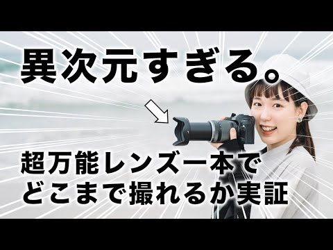 【レンズ一本散歩】24-400mm！広角から超望遠までこれ一本【OM SYSTEM 12-200mm F3.5-6.3】