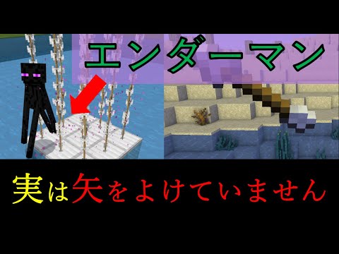 エンダーマンは絶対によける訳では無い⁉エンダーマンはある意味矢を避けてはいなかった⁉ その証拠と矢が当たらない理由【マイクラBE(Win10,Xbox,Switch,PE,PS4)】