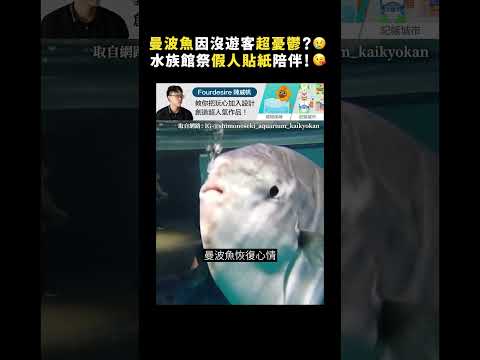 曼波魚因沒遊客超憂鬱？😢 水族館祭假人貼紙陪伴！😘｜志祺七七 Shorts #shasha77