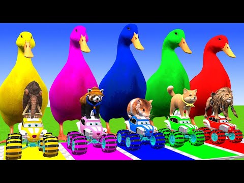 5 Giant Duck Cartoon,Cow,Mammoth,Tiger,Zebra,Dinosaur,Paint Wild Animals Crossing Fountain Animation