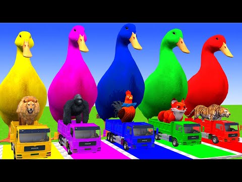 5 Giant Duck Cartoon,Lion,Cow,rabbit,Gorilla,Chicken,Dog,Cat Wild Animals Crossing Fountain 2023