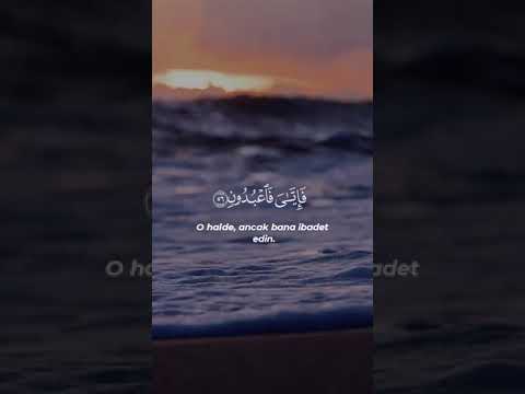 ( كُلُّ نَفْسٍ ذَائِقَةُ الْمَوْتِ ۗ) 🎧 ناصر القطامي