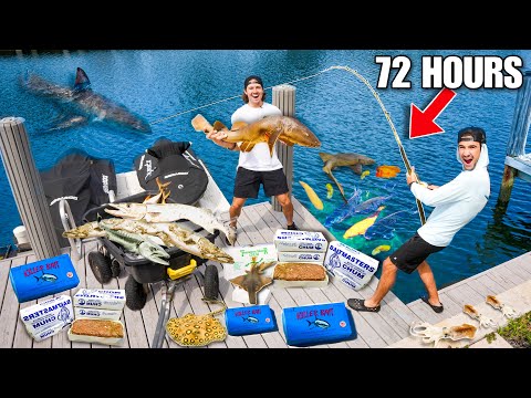 Chumming Saltwater Dock for 72 HOURS Using 1000 LBS of Dead Fish... *Dock Monster*