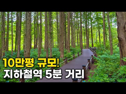 Best place where to stay in korea. Recommended by local Korean | Korea Travel