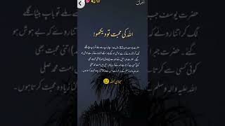 Allah ki muhabat #viralvideo #quotes #islamicquotesinurdu #shortsvideo #youtubeshorts #shorts #yt