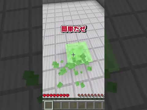 マイクラでできる着地やってみた！