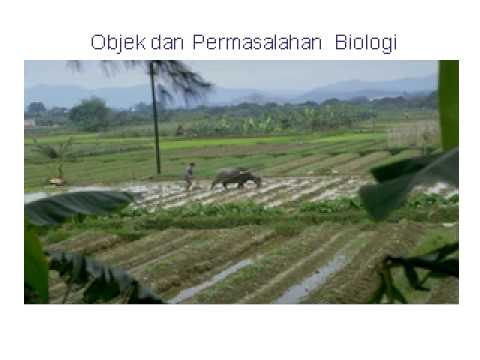 Video powerpoin  biologi  kelas X K13 Bab1