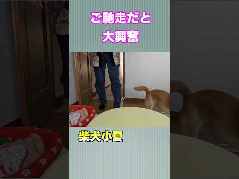 ご馳走だと大興奮