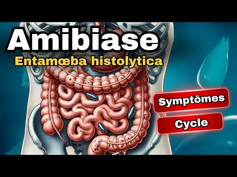 AMIBIASE - Entamoeba histolytica : Cycle, Diagnostic et Traitement Parasite