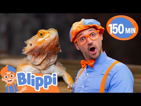 What Reptile Friends Will Blippi Meet? 🦎 Fun and Educational Adventures for Kids!