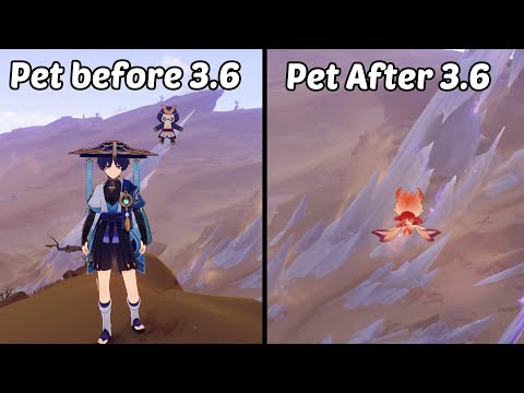 Pets in genshin impact are now better