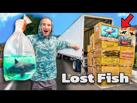 Ordering a Live Fish Return Pallet... What's Inside?