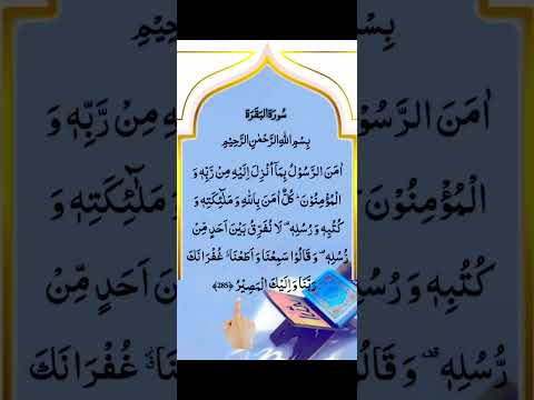 #amenerrasulu #quran #egzonibrahimi #المصحف #islamicrecitation #bestquran #duet