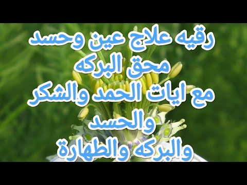 تخلص من شيطان محق البركه في الرزق والمال والولد New rizq ruqyah