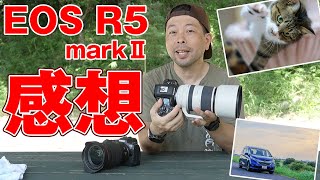 【カメラ】Canon EOS R5markⅡレビュー！初期感想！