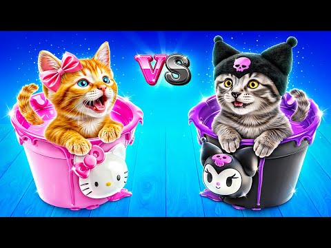 One Colored Cat House Challenge! Hello Kitty vs Kuromi