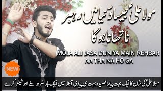 Qasida - Mola Ali Jasa Duniya Main Rehbar - Ameer Abbas Ali - 2018