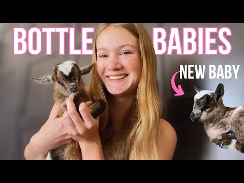 ANOTHER BABY GOAT ON THE FARM! Bottle Feeding Adventures