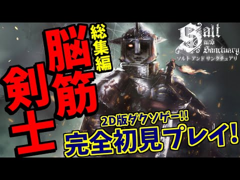 【ソルト アンド サンクチュアリ】完全初見プレイ！高難易度2DアクションRPGに挑む脳筋剣士 【ダイジェスト】