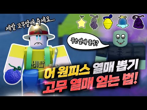 어원피스 열매뽑기! #3 제발 고무고무 열매를 주세요;; [로블록스]