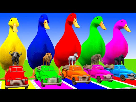 5 Giant Duck Cartoon,Cow,Elephant,Tiger,Lion,Dinosaur,Paint Wild Animals Crossing Fountain Animation