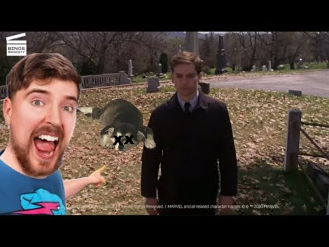 POV Mrbeast kills my dog